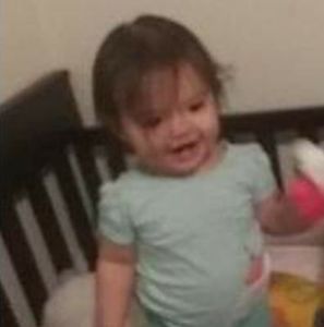 Meet your Posher, Pika